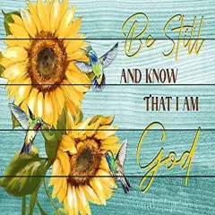 5D DIY Diamond Painting Kits for Adults Sunflower - Sunflower