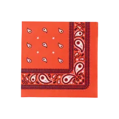 THOMAS & FRIENDS&trade; LARGE RED BANDANA NAPKINS
