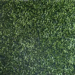 11 sq ft Green Large Boxwood Leaves 11UV Protected Wall Backdrop Panels Wedding
