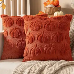 Set of 2 Fall Throw Pillow Covers 18 x 18