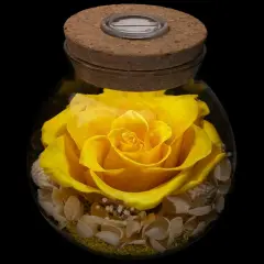 Preserved Real Roses with Colorful Mood Light Wishing Bottle, Eternal Rose， Never Withered Flowers, a Gifts for Women 4.3inch 1pcs (Yellow)