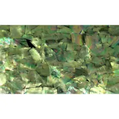 Shell Veneer, 5.5 x 9.5 inches | WMOP, BMOP, Abalone | Includes 3M Adhesive Sheet for Application, Great for Inlay Projects Cat's Eye