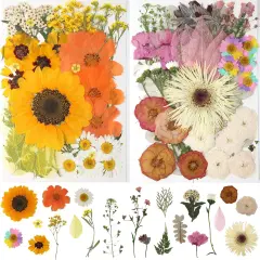100Pcs Dried Pressed Flowers for Resin