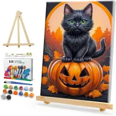 Halloween Paint by Numbers Kit - Black Cat - 8x12 Inch