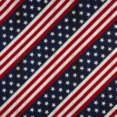 Richloom Solarium AMERICANA STRIPE- Outdoor/Indoor Fabric