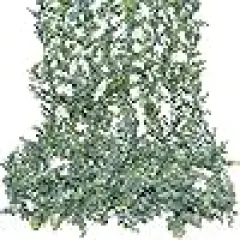 Greenery Eucalyptus Leaves Vines Faux Silk Silver Dollar Eucalyptus Vines Plants