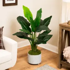 Northlight Potted Artificial Bird of Paradise Plant - 43" Green