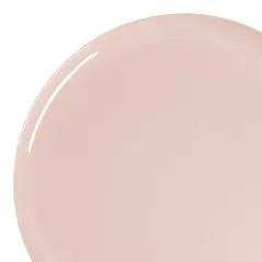 Pink Flat Round Disposable Plastic Dinner Plates - 10" (120 Plates)
