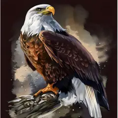 Eagle Diamond Painting Kits for Adults, American Bald Eagle Full Drill Round Diamond Painting, for Room Decor Bedroom Decor Or Birthday for Friends 30x40cm