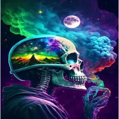 DIY Skull Paint by Numbers Kits for Adults - Skull A