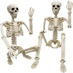 2 pcs 3 ft Life Size Human Skeleton with Full Body Posable Joints