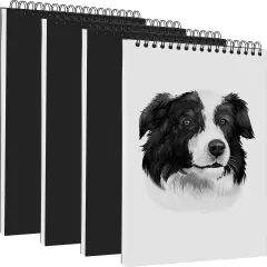 4 Pack 9" x 12" Sketch Book Top Spiral Bound Sketch Pad 100 Sheets 100 GSM Spiral Bound Art Sketchbook Artistic Drawing Painting Writing Paper for Adults Beginners Artists