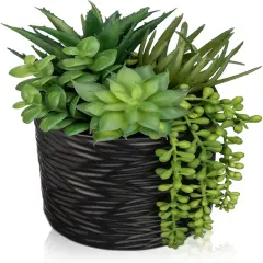 Artificial Succulents in Pots Faux Succulents Plants Fake Succulent Arrangement Potted Plants with Black Ceramic Vase for Office Desk Bathroom Shelf Living Room Indoor Home Decor Large