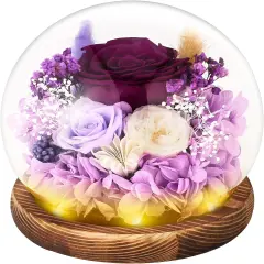 Preserved Real Rose Forever Flowers in Glass Dome