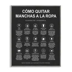 Stupell Industries Gu&iacute;a de Limpieza de Manchas, Negro Framed Giclee Art Gray Framed