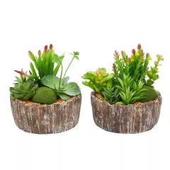 Set of 2 Faux Succulent Plants Assorted 8" Tall Greenery Plant Home Decor