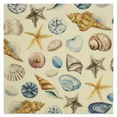 Elan Transfers Overglaze Decal Sheet - Shells