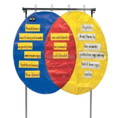 School Smart Venn Diagram Pocket Chart with 3 Circles, 23 Pockets, 35-1/2 x 54 Inches