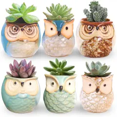 6 Pcs 2.5 Inches Owl Ceramic Pots