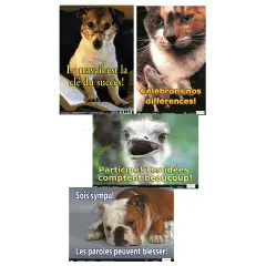 Poster Pals French Educational and Language Teaching Fun Photo Posters,Bilingual Charts, Classroom Decorations, FSL, 4 Poster Set