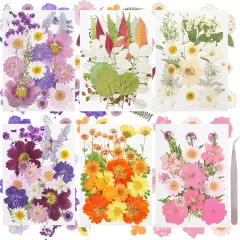 120Pcs Dried Pressed Flowers - (Delicate Color)