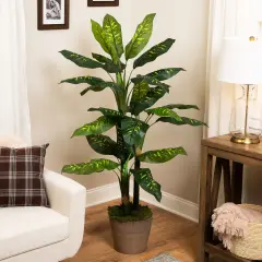 Northlight Wide Leaf Artificial Dieffenbachia Potted Plant - 59" Green