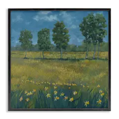 Stupell Industries Meadow with Daffodils Framed Giclee Wall Art Design by Graham Reynolds
