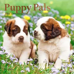 Puppy Pals | 2026 7 x 14 Inch (Hanging) Monthly Mini Wall Calendar | Foil Stamped Cover