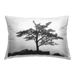 Lone Tree on Rocks Outdoor Printed Pillow Design by Lori Deiter, 14 x 7 x 20