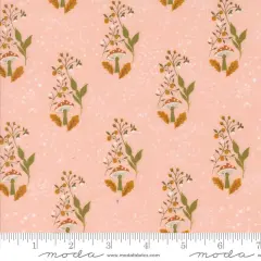 Mushroom Path in Blush (43193 12) | Frivolity | Sweetfire Road | Moda