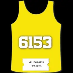 International Coatings Cool Sport Inks 6153 Yellow 102 C