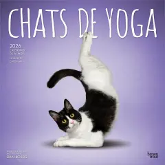 Chats de Yoga OFFICIEL | 2026 12 x 24 Inch (Hanging) Monthly Square Wall Calendar | French Language