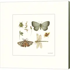 Green Fields XI by Lisa Audit 12" x 12" Canvas Wall Art