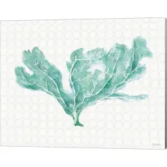 Mixed Greens XXIX by Lisa Audit 20" x 16" Canvas Wall Art