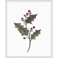 December Holly by Amanda Cook Framed Canvas Wall Art