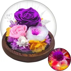 Valentines Day Gifts for Her, Real Rose Flowers Bouquet in Glass Dome with Light, Birthday Gifts for Women Wife Grandma Nana Mothers Day Anniversary, Mom Gifts from Daughter Son