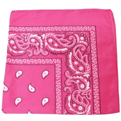 Pack of 36 Cotton 22 x 22 Inch Paisley Printed Bandana