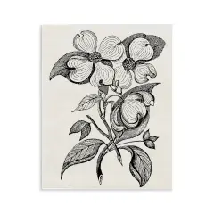 Stupell Industries Classic Cut of Dogwood Wall Plaque, design by Karen Smith