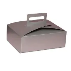Handled Flat Take-Out Container Sturdy 9" x 7" x 3"