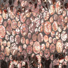 1 Yard Paisley Dots Fabric Multipurpose 36" x 60" Brown