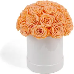 27 Preserved Roses in Round Dome Shape - Orange