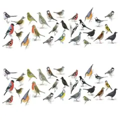 Birds Edible Image cake border 2 Strips per sheet 3.5x10.5 inchs