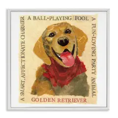 Stupell Industries Fun Golden Retriever Phrases Framed Giclee Wall Art Design by Nancy Overton