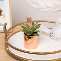 Northlight 5" Green Artificial Aloe Plant in a Rose Gold Pot
