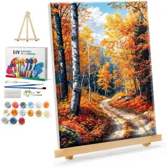 Framed Paint by Numbers Kit for Adults