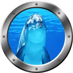 Wall Decal Dolphin Porthole 3D Wall Sticker