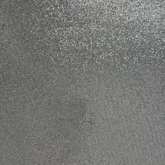 SILVER COINS Sequin Glitter Cardstock - Encore Paper