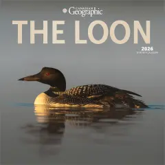 Canadian Geographic The Loon OFFICIAL | 2026 12 x 24 Inch (Hanging) Monthly Square Wall Calendar | Foil Stamped Cover