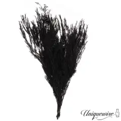 Uniquewise Preserved Real Floral Stems Chic Vase Fillers & Accents for Bouquets Centerpieces & Ornamental Displays Ideal for Home Office Boutique Cafe Resto Bar and Event Decor Black m. bracteata