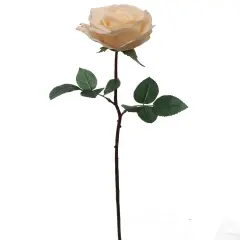 2-Pack 27" Real Touch Peach Roses | 4" Bloom Artificial Stems for Home, Wedding & Event D&eacute;cor